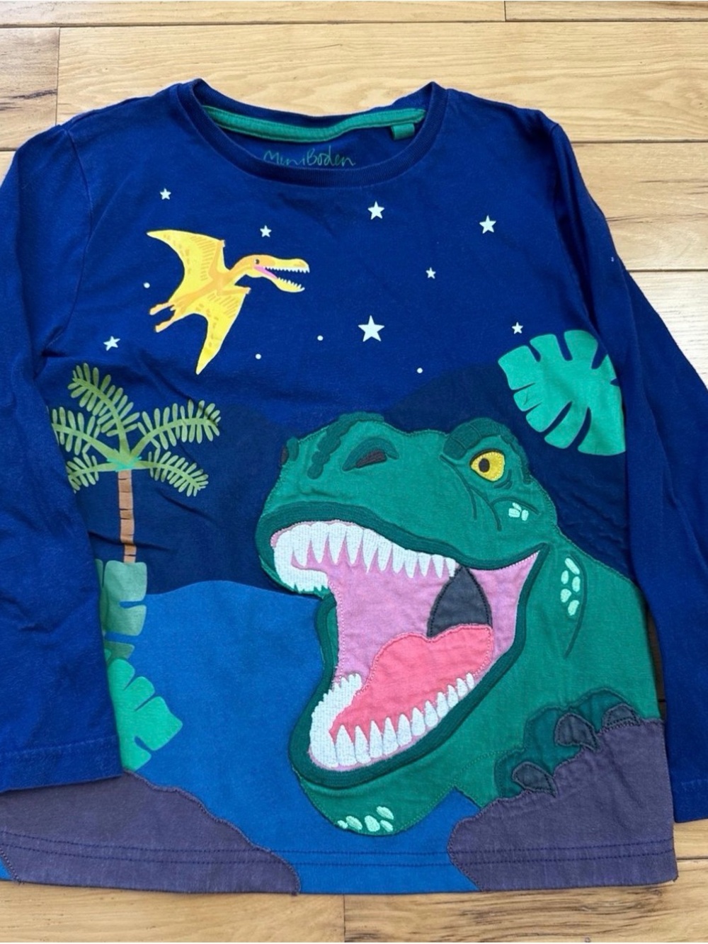 Mini Boden Navy Dinosaur Graphic Long-Sleeve Tee